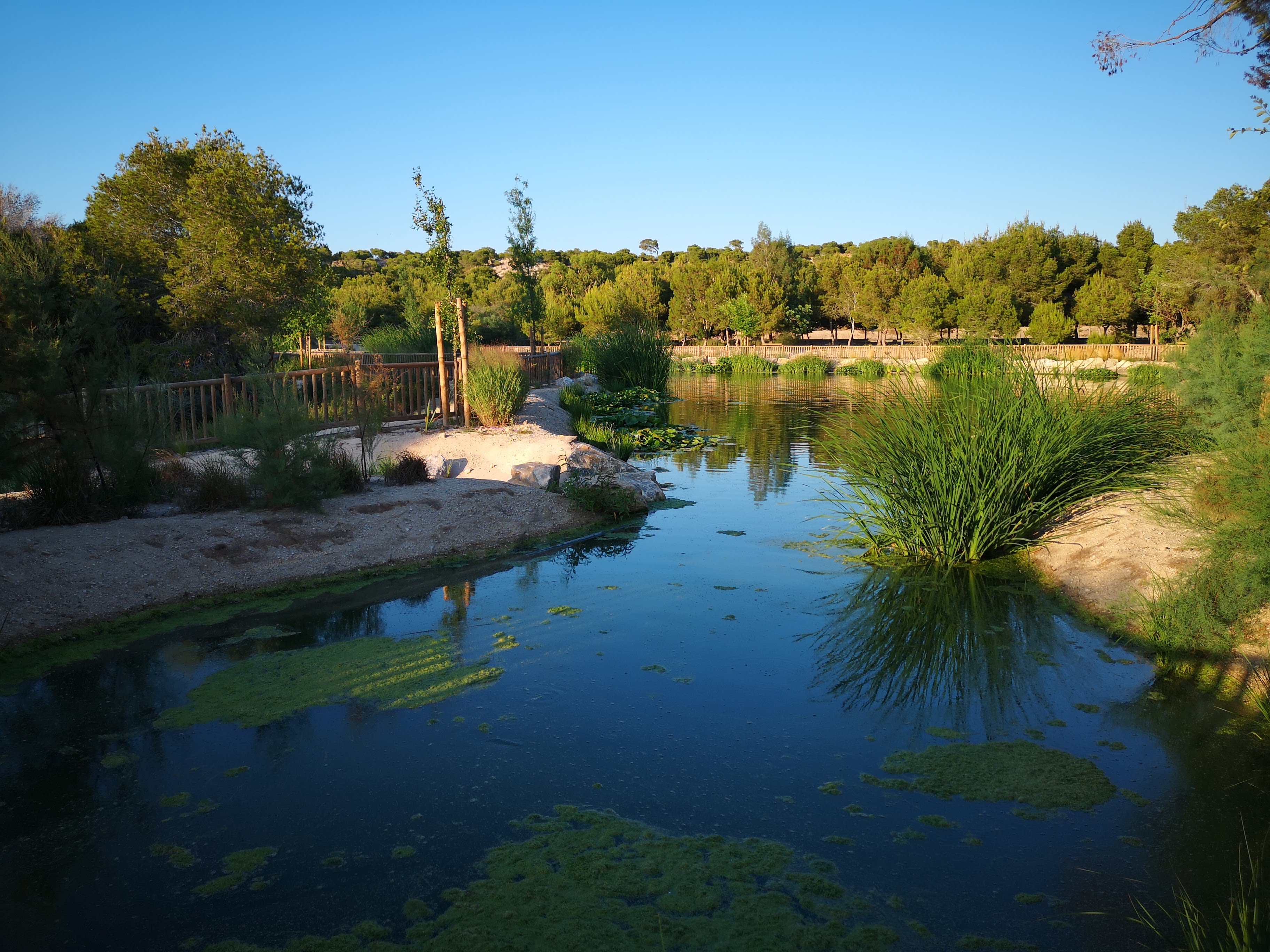 Costa Blanca – Villa – billede 10