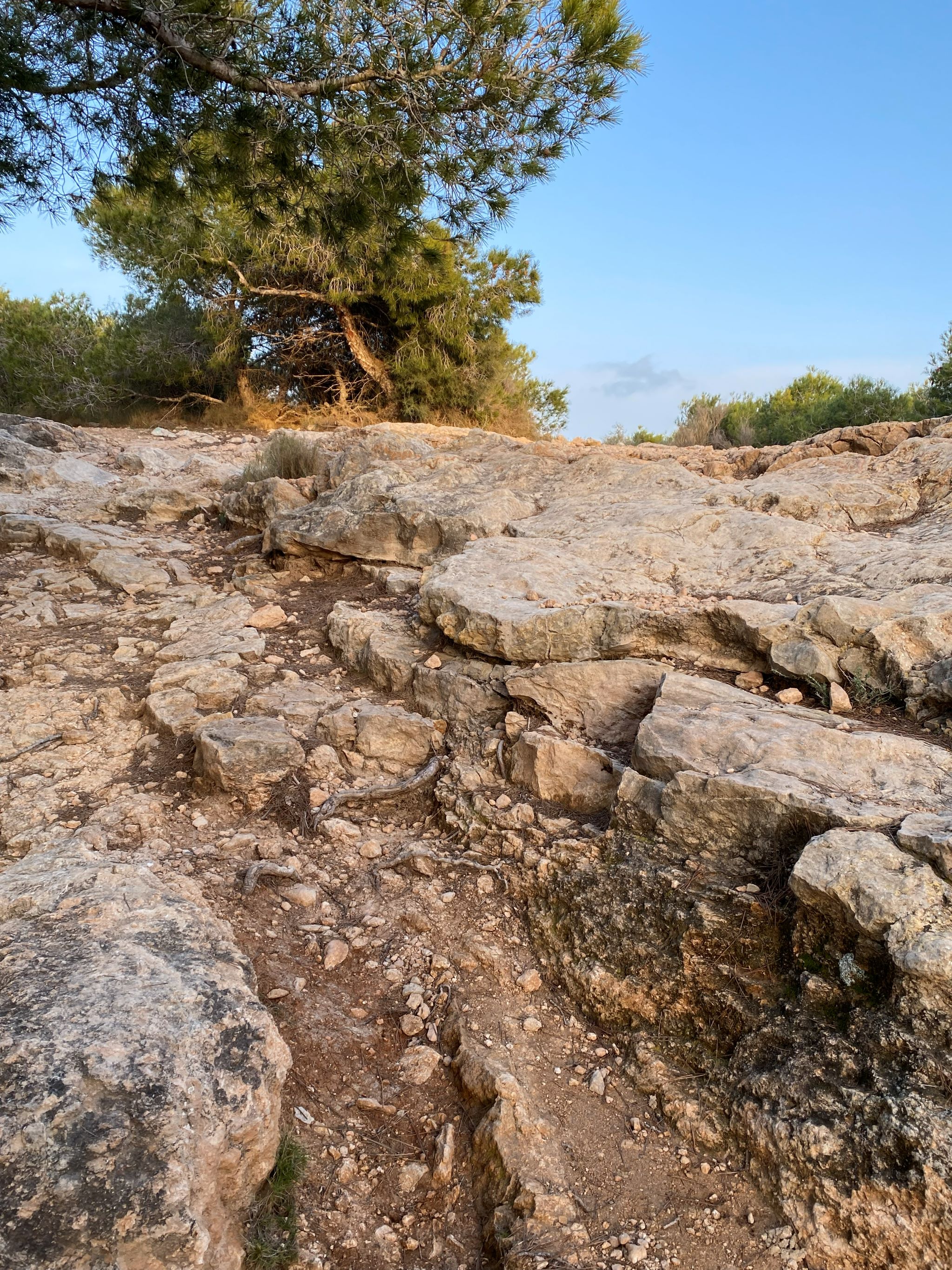 Costa Blanca – Villa – billede 13