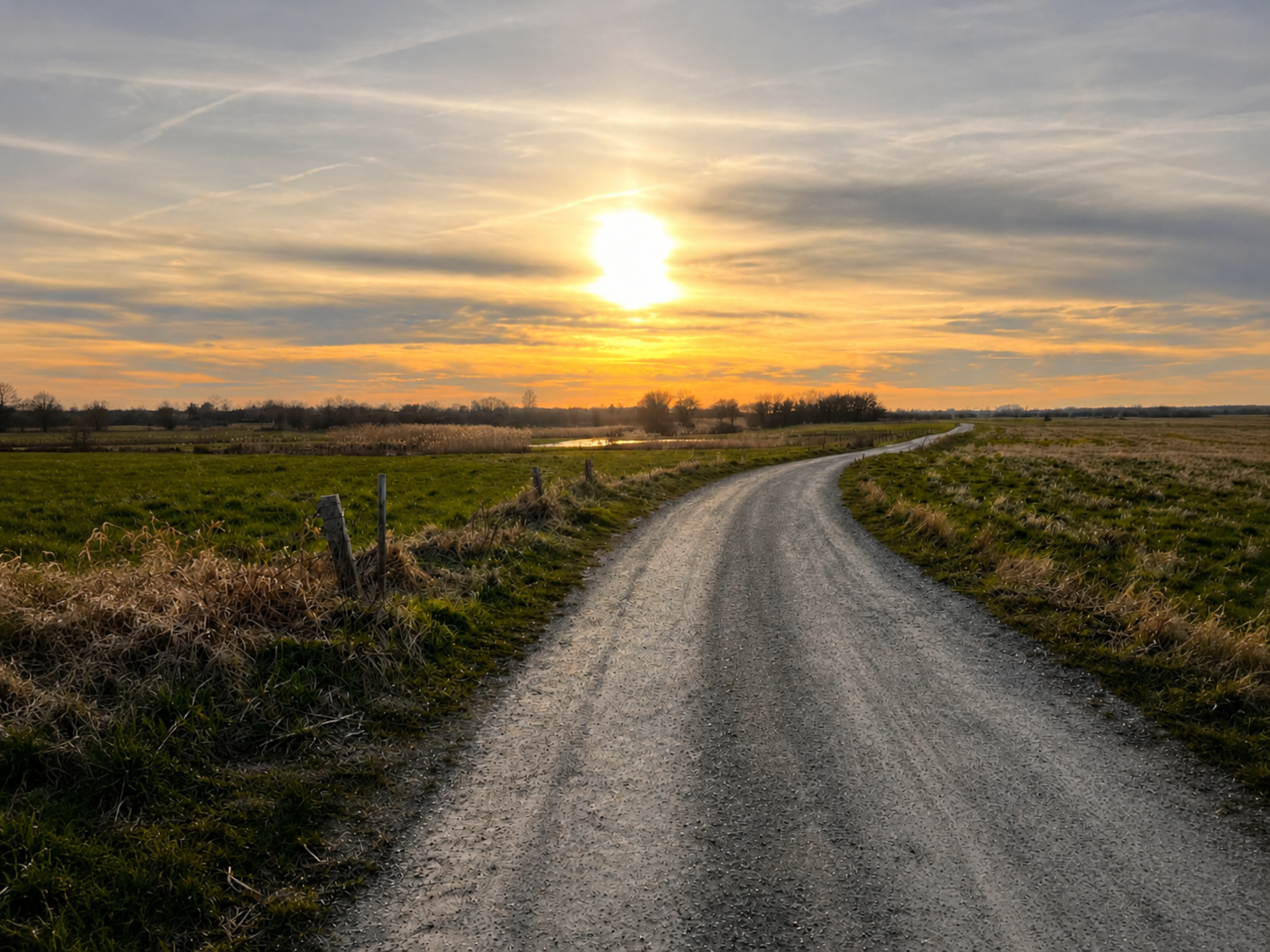 Lærkemose – billede 18